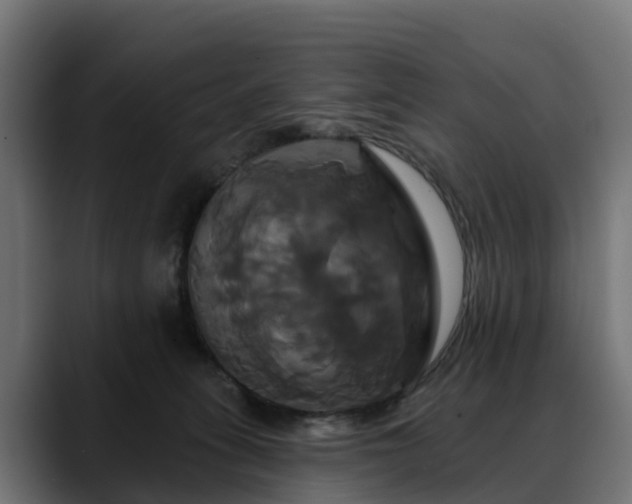 X0000088470275200705291554