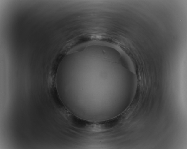 X0000088470276200705291554