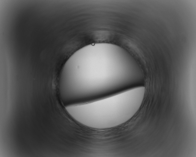 X0000088470277200705291554