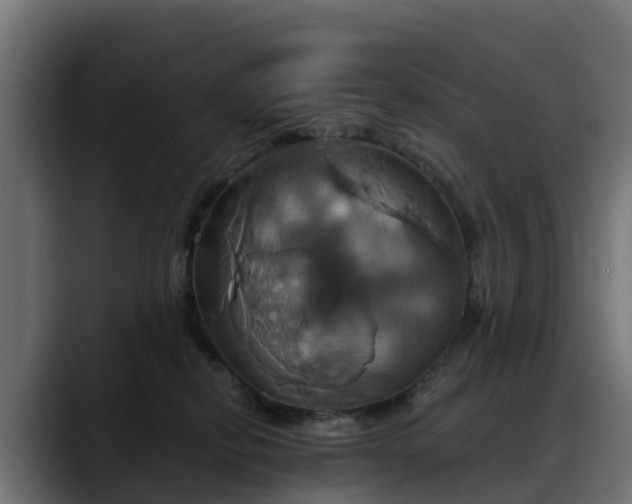 X0000088470278200705291554