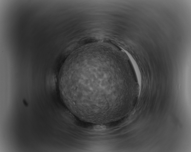 X0000088470279200705291554