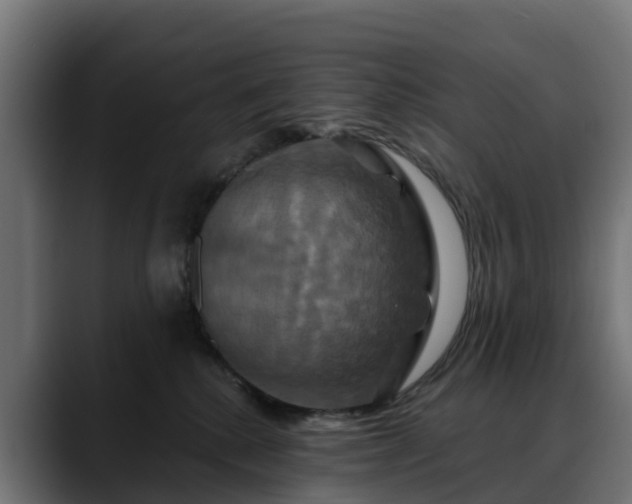 X0000088470280200705291554