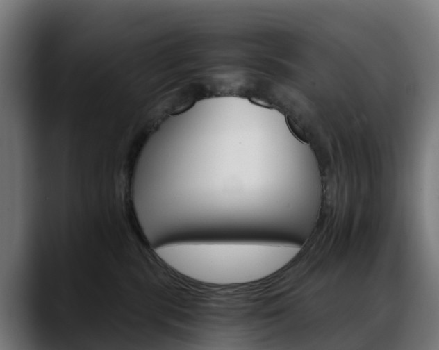 X0000088470283200705291554