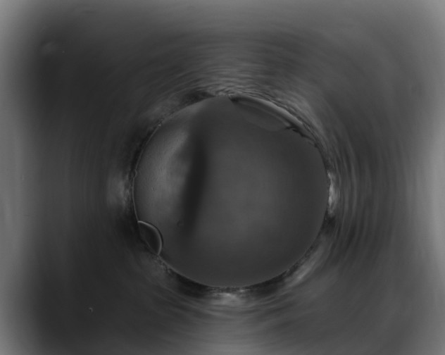 X0000088470285200705291554