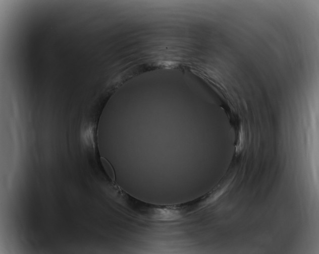 X0000088470286200705291554