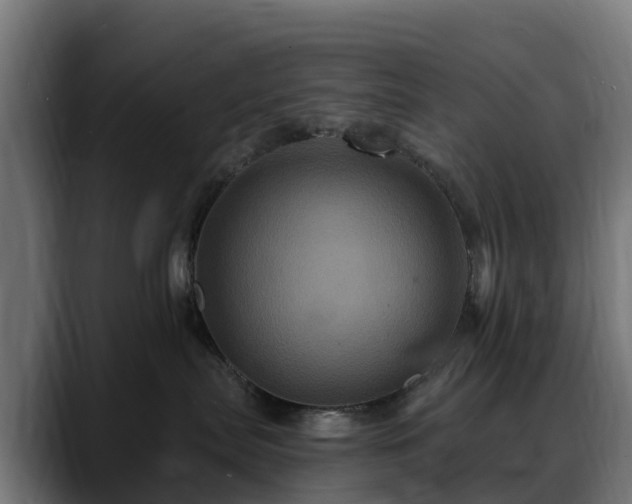 X0000088470287200705291554