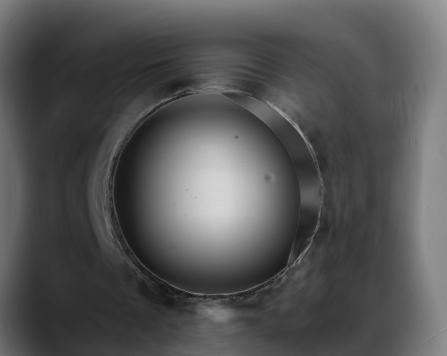 X0000088470289200705291554