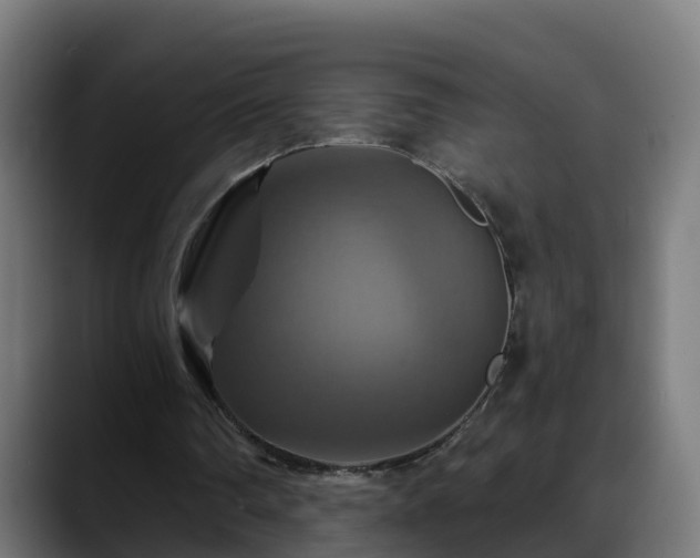 X0000088470290200705291554