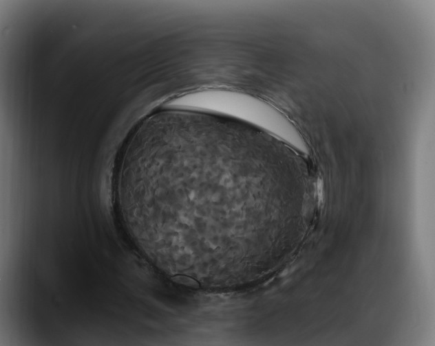 X0000088470291200705291554