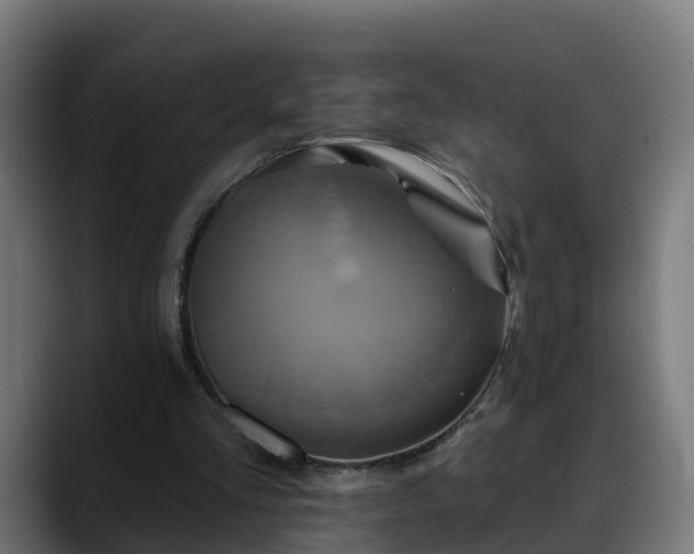 X0000088470293200705291554