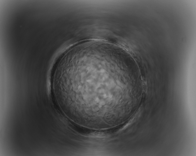 X0000088470294200705291554