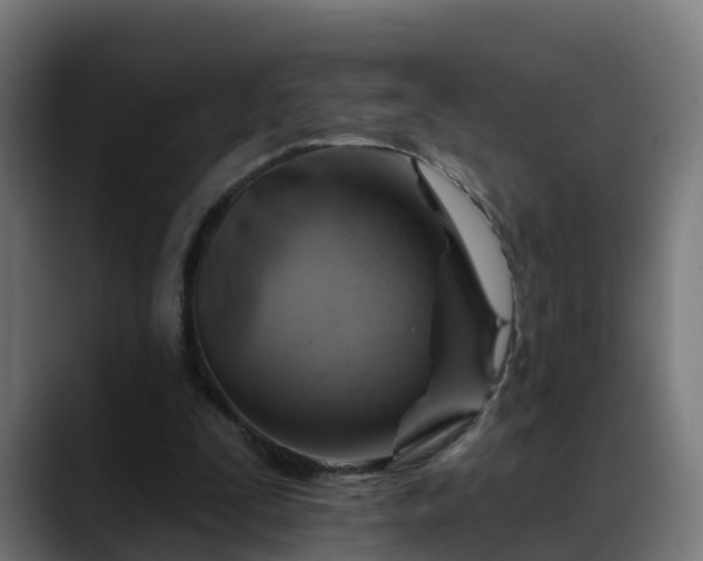 X0000088470295200705291554