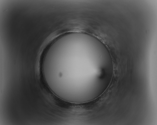 X0000088470296200705291554