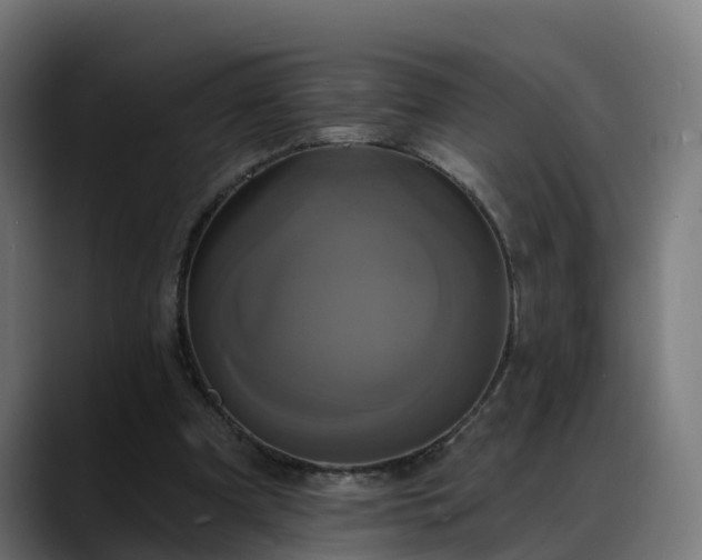 X0000088470297200705291554