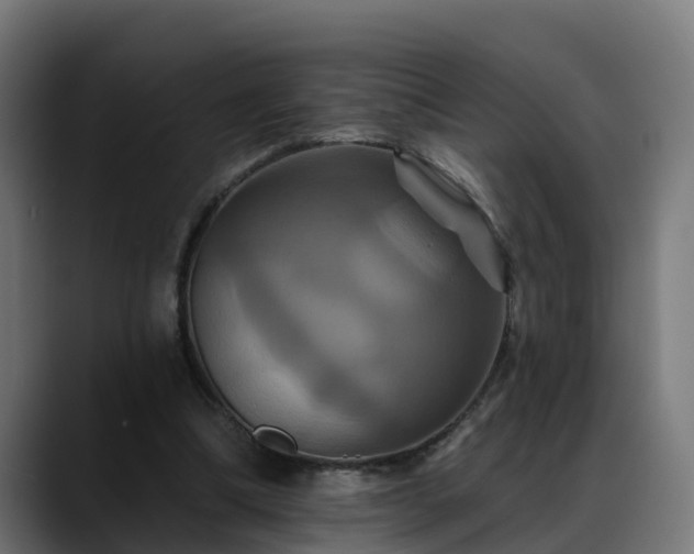 X0000088470298200705291554