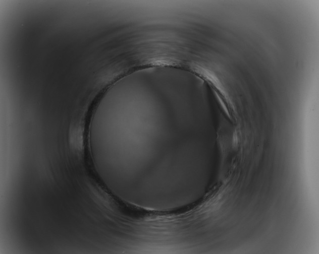 X0000088470299200705291554