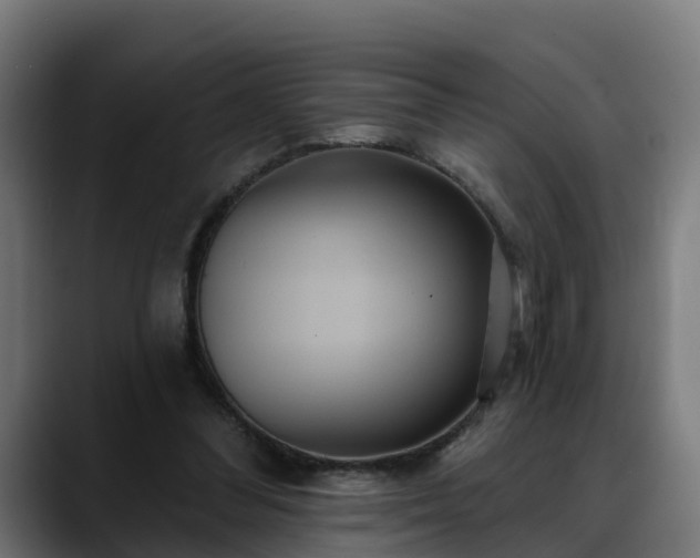 X0000088470300200705291554