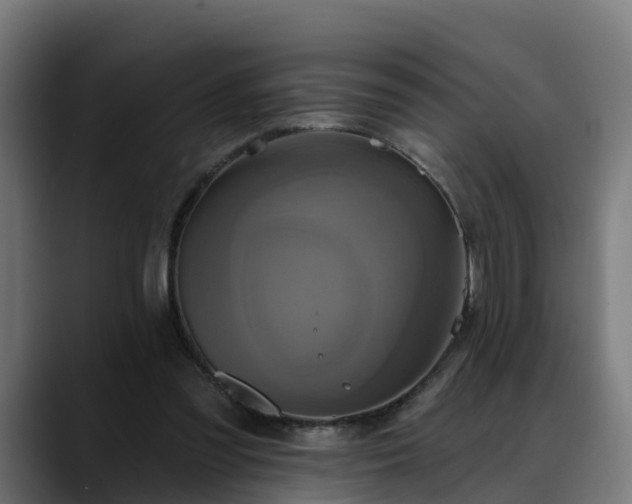 X0000088470301200705291554