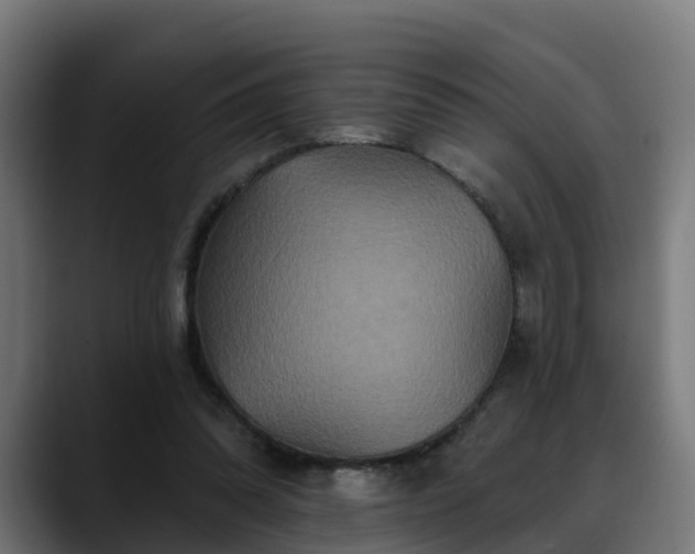 X0000088470302200705291554