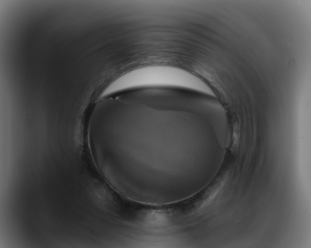 X0000088470303200705291554