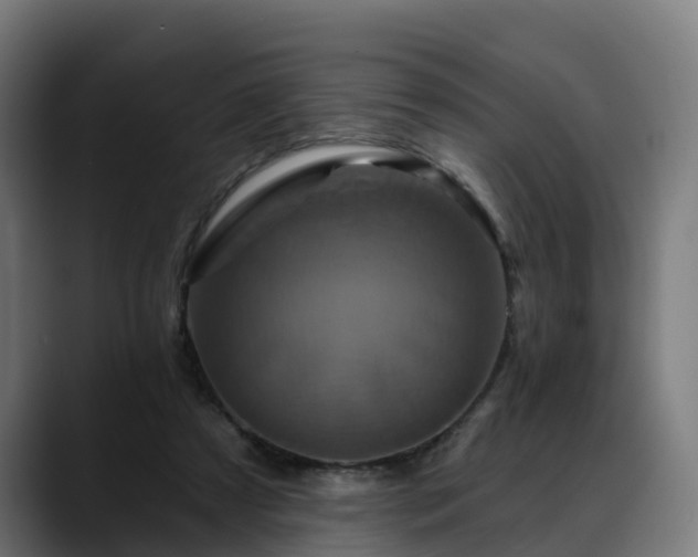 X0000088470305200705291554