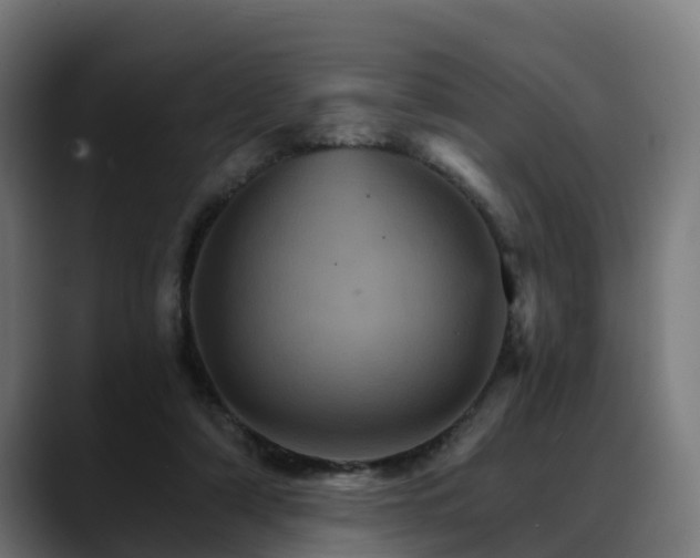 X0000088470306200705291554