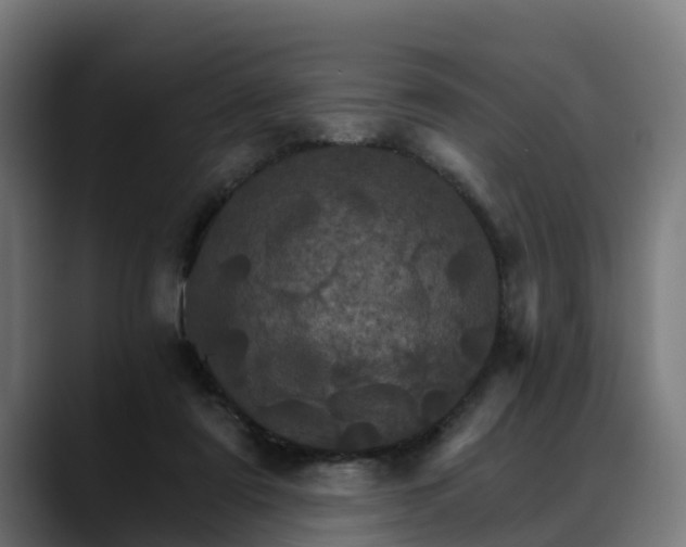 X0000088470307200705291554