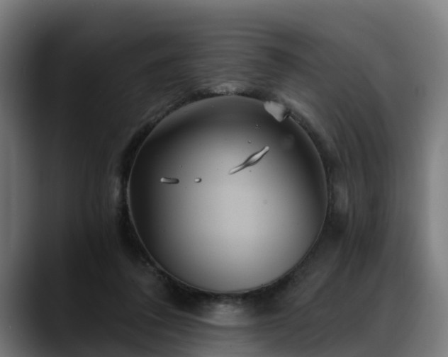 X0000088470308200705291554