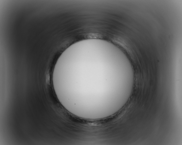 X0000088470310200705291554