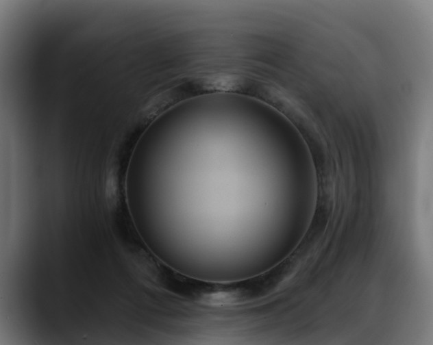 X0000088470312200705291554