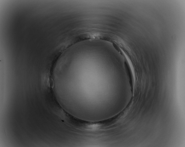 X0000088470313200705291554