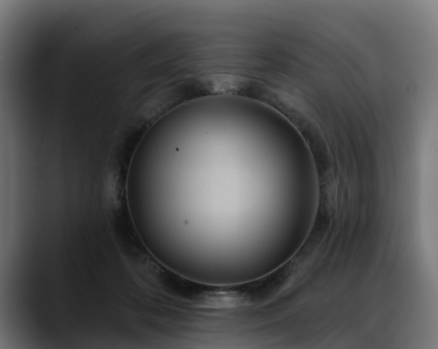 X0000088470316200705291554