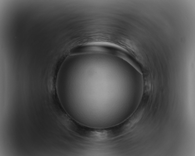 X0000088470317200705291554