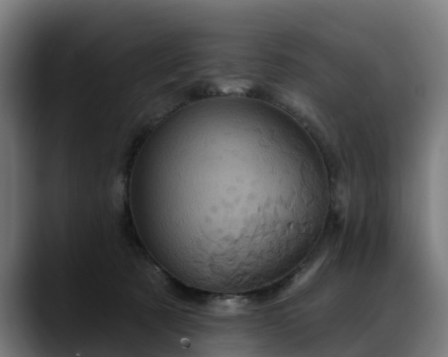 X0000088470321200705291553