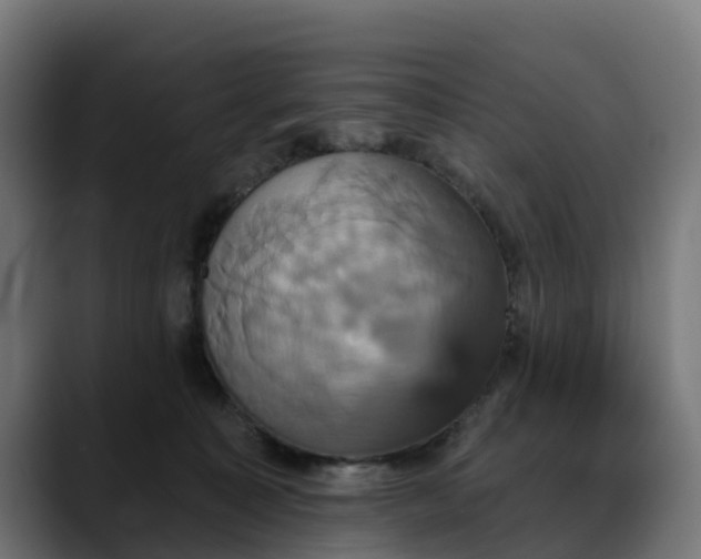 X0000088470323200705291553