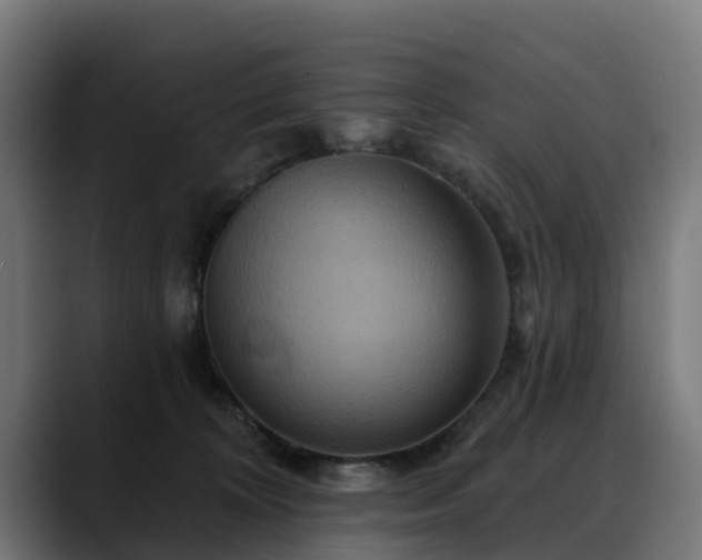 X0000088470324200705291553