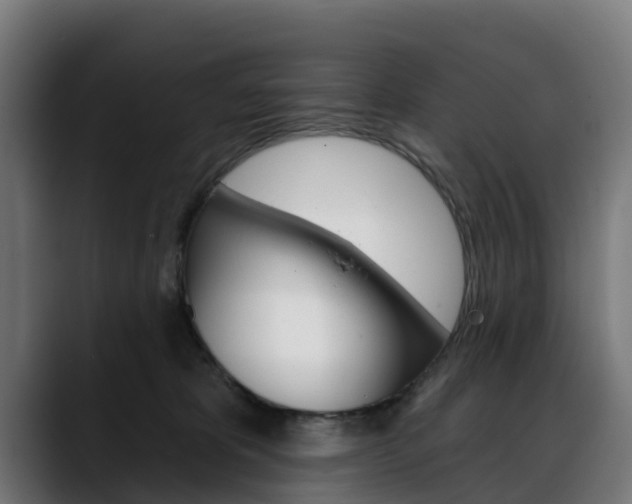 X0000088470325200705291553