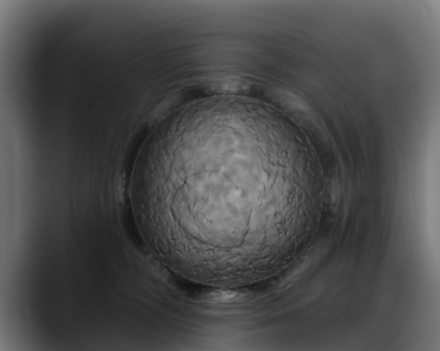 X0000088470326200705291553