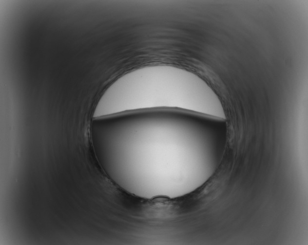 X0000088470329200705291553