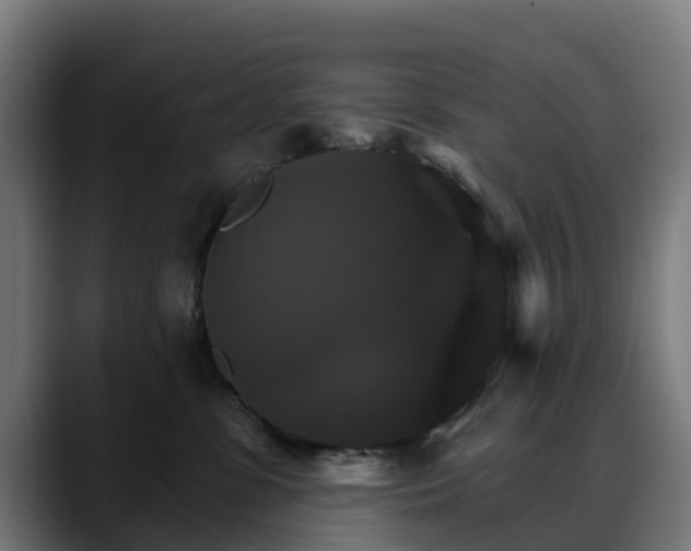 X0000088470331200705291553