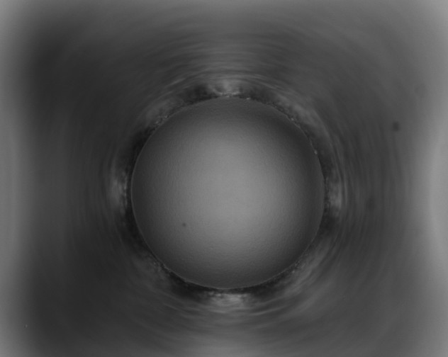 X0000088470332200705291553