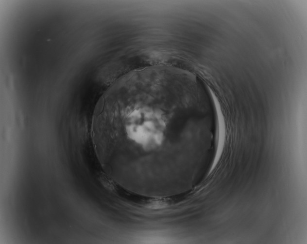 X0000088470335200705291553