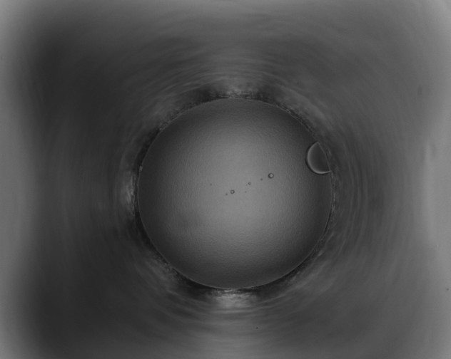 X0000088470336200705291553