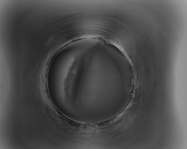 X0000088470337200705291553