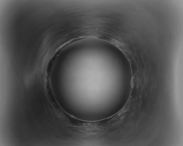 X0000088470338200705291553