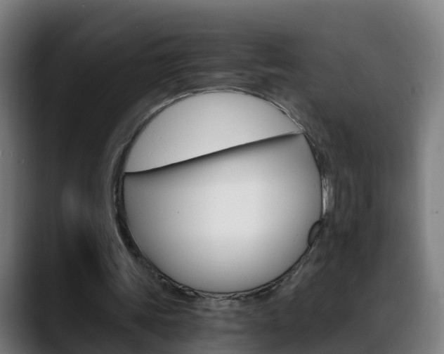 X0000088470339200705291553