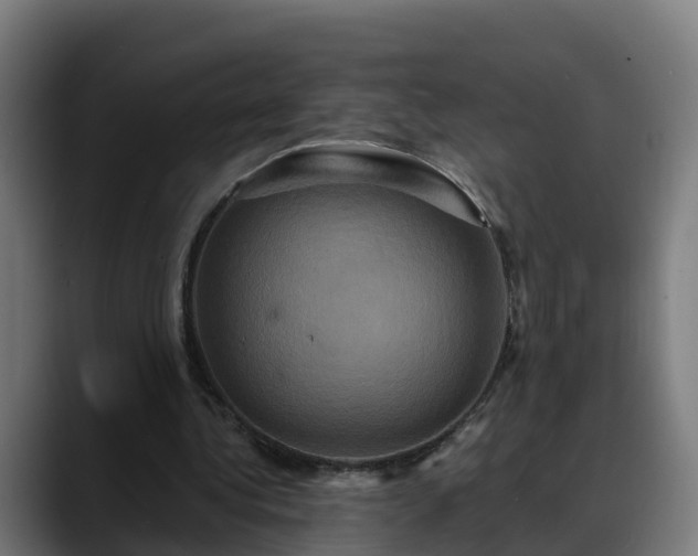 X0000088470340200705291553