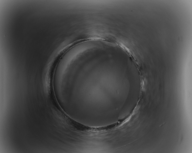 X0000088470343200705291553