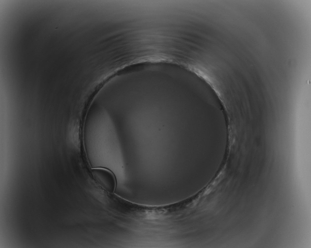 X0000088470345200705291553