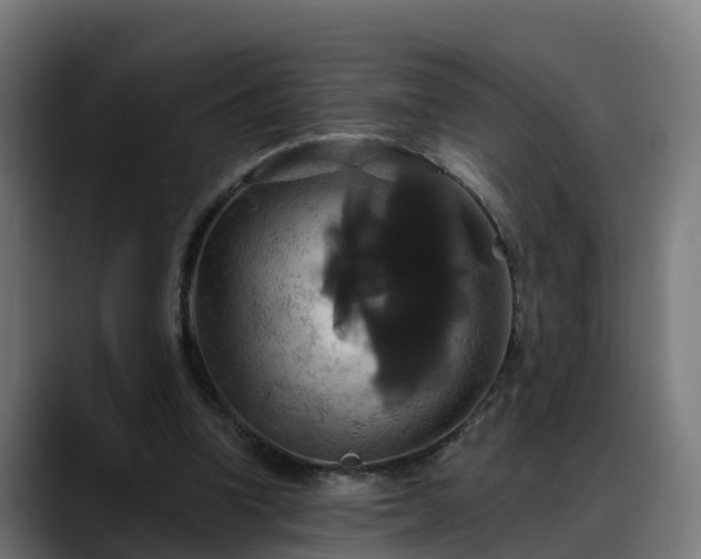 X0000088470346200705291553